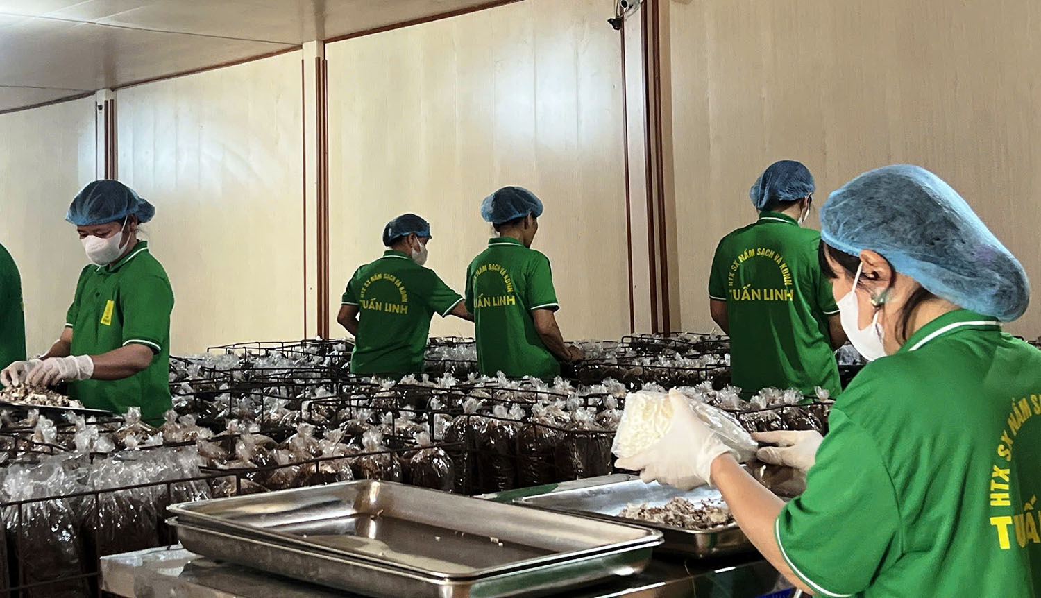 Quảng Bình có 3 đơn vị nhận danh hiệu Ngôi sao Hợp tác xã