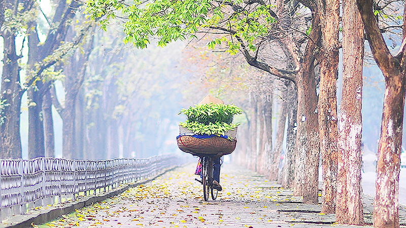 Tháng tư mênh mang nỗi nhớ