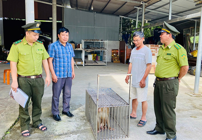 Bàn giao cá thể khỉ đuôi lợn cho Trung tâm Cứu hộ, bảo tồn và Phát triển sinh vật