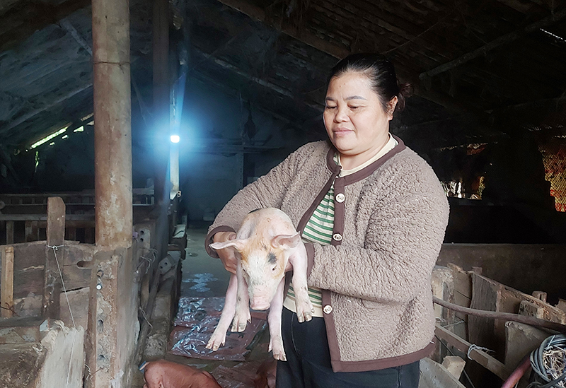 Thoát nghèo nhờ vốn vay ưu đãi