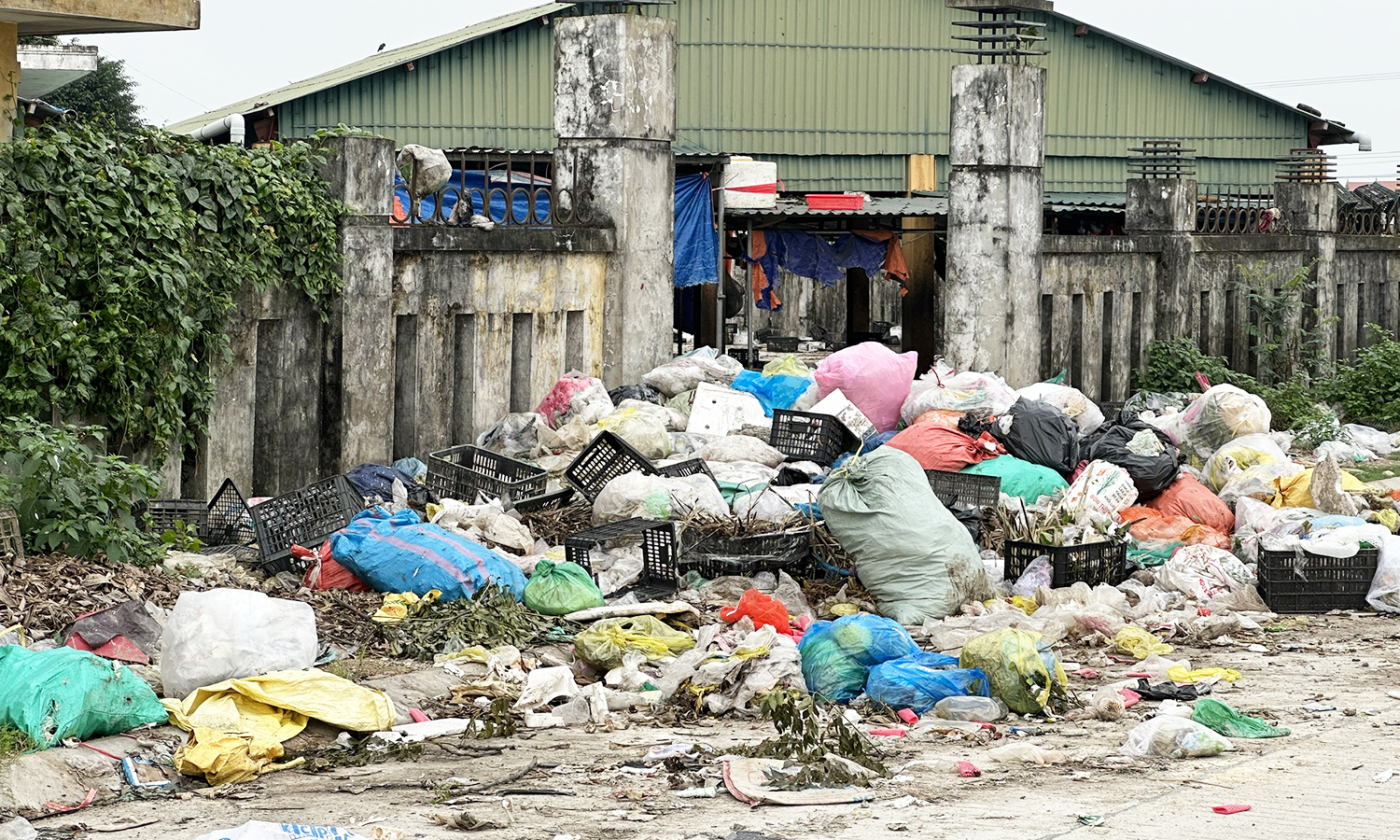 Chợ Hòa Ninh ngập rác: Nguy cơ ô nhiễm môi trường nghiêm trọng