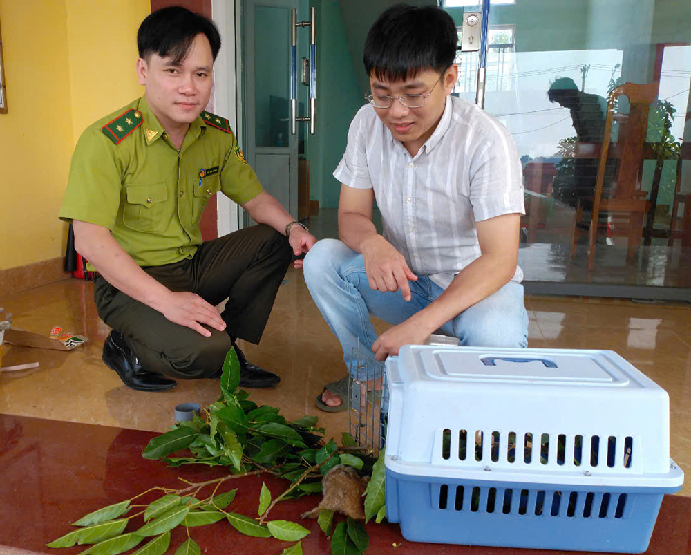 Tiếp nhận động vật quý, hiếm để chăm sóc, cứu hộ