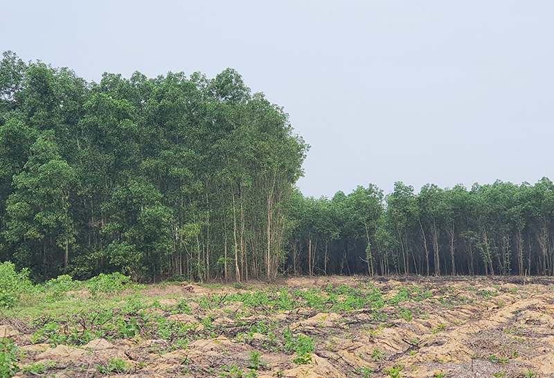 Gần 15 năm vẫn chưa thực hiện xong kết luận thanh tra