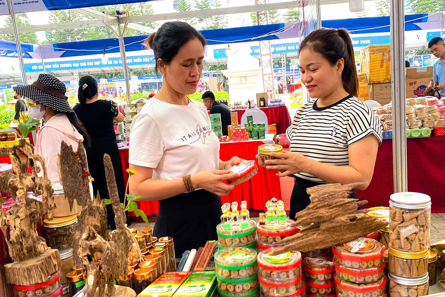 Chia sẻ cơ hội hợp tác kinh doanh, xúc tiến thương mại cho các hợp tác xã