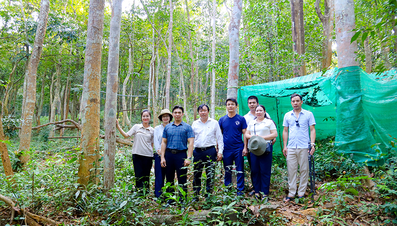 Đề xuất giải pháp bảo tồn và phát triển du lịch sinh thái