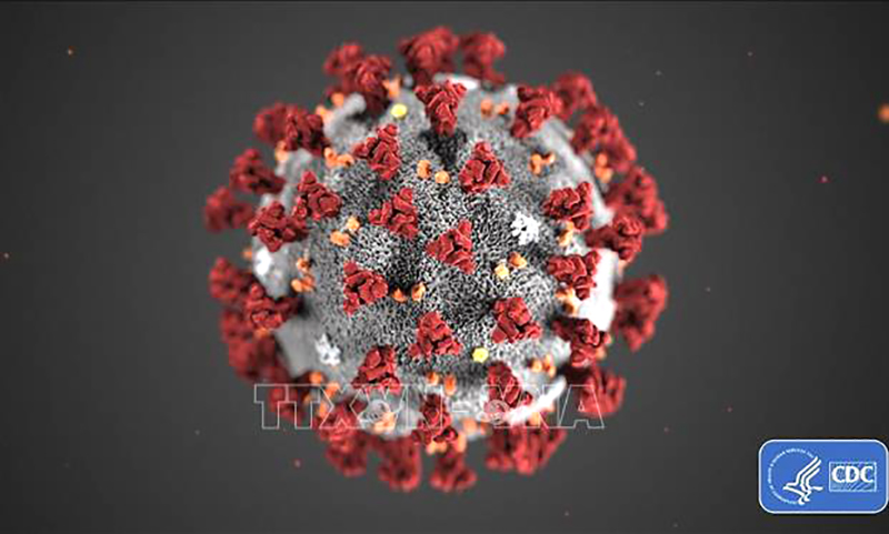 Các nước Đông Nam Á tăng cường biện pháp phòng chống dịch Covid19