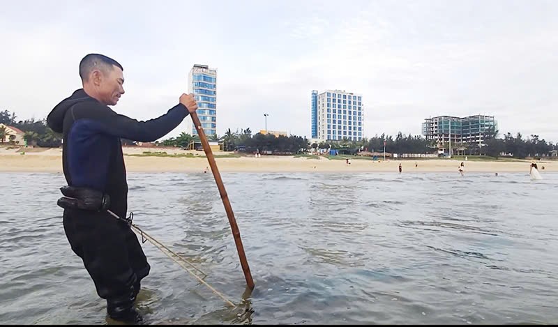 Cào ngao trên biển…