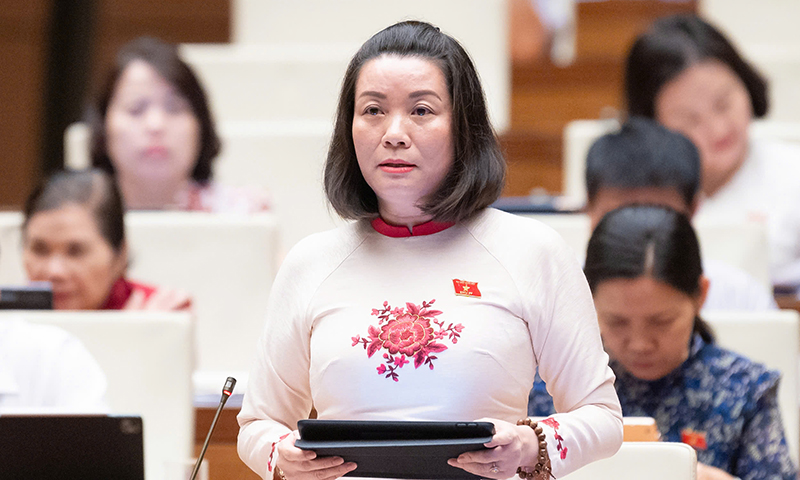 Đại biểu Quốc hội thảo luận về dự án Luật Thanh tra (sửa đổi)