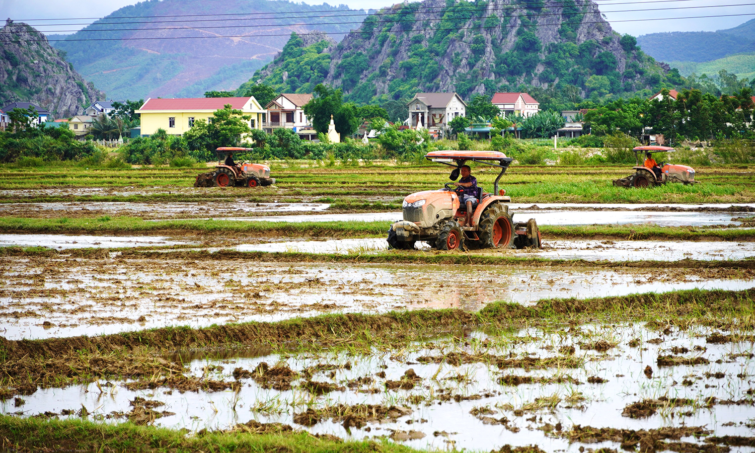Khẩn trương xuống giống vụ hè-thu