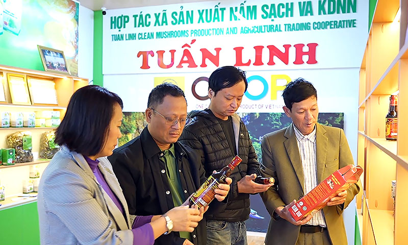 "Luồng gió mới" cho kinh tế tư nhân Quảng Bình