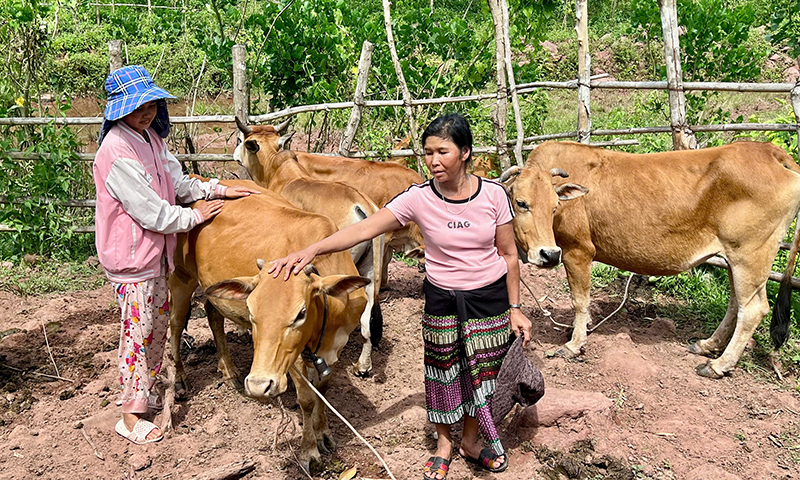 Để miền núi chuyển mình