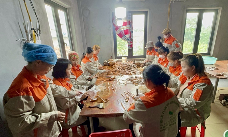 Sinh kế bền vững: 