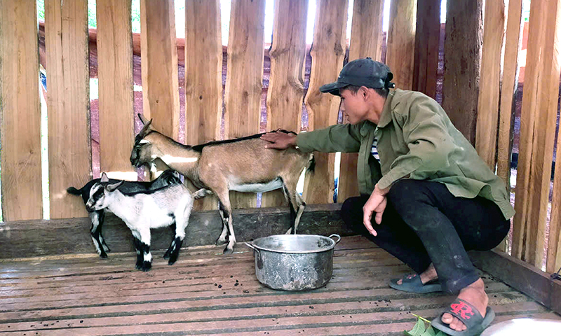 Đa dạng hóa sinh kế giảm nghèo