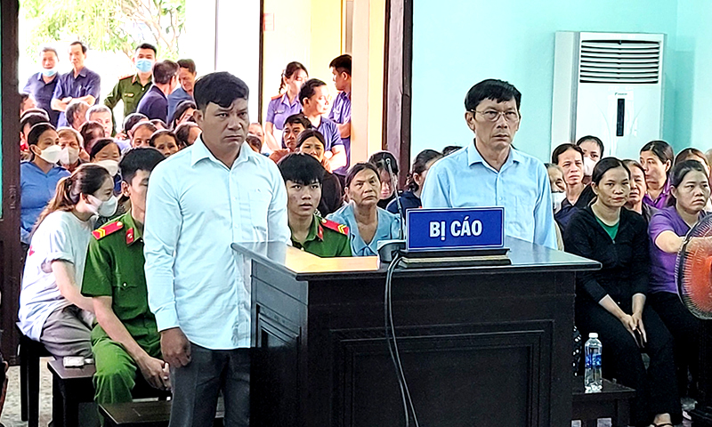 Dấn thân vì nghề