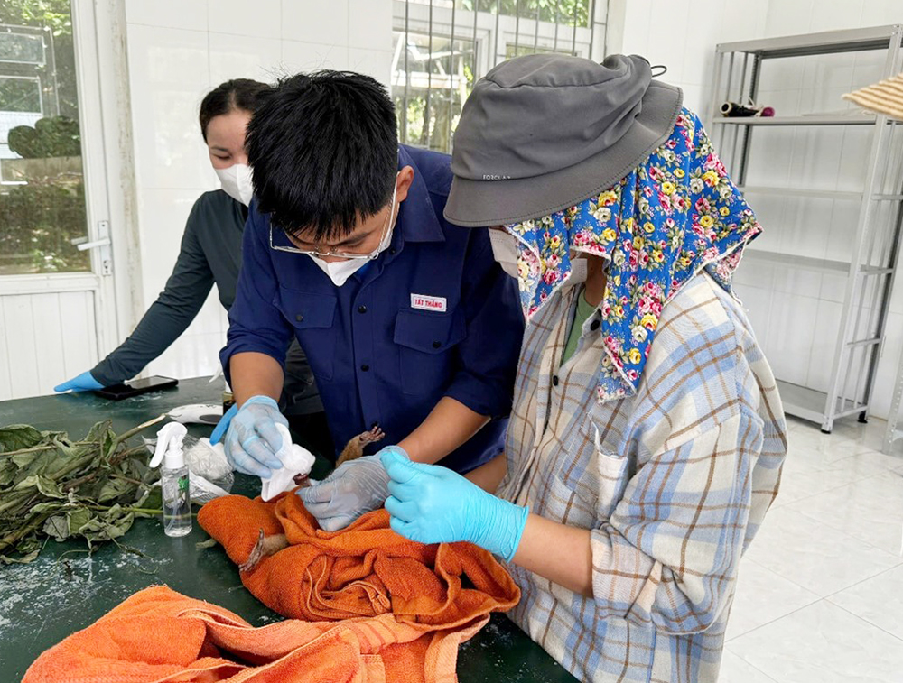Tiếp nhận, cứu hộ 2 cá thể động vật hoang dã quý hiếm