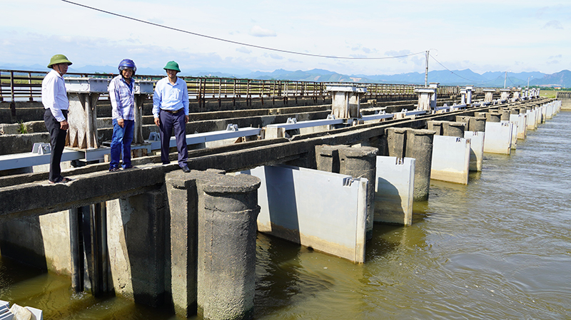 Bảo đảm sản xuất vụ hè-thu