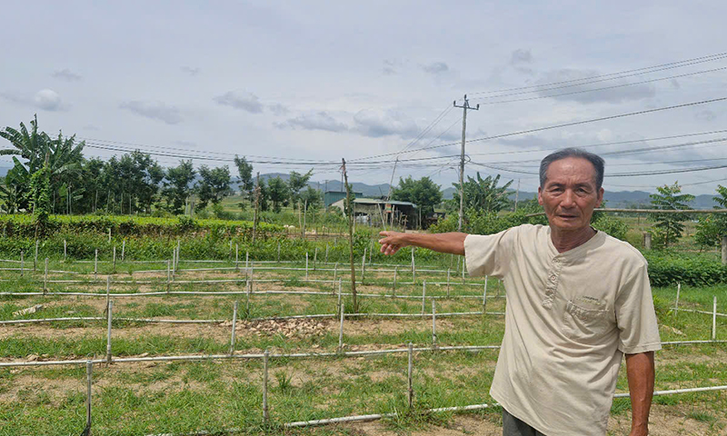 Phân lô bán nền nhưng "quên" thu hồi đất: Hơn 10 năm mòn mỏi chờ "sổ đỏ"