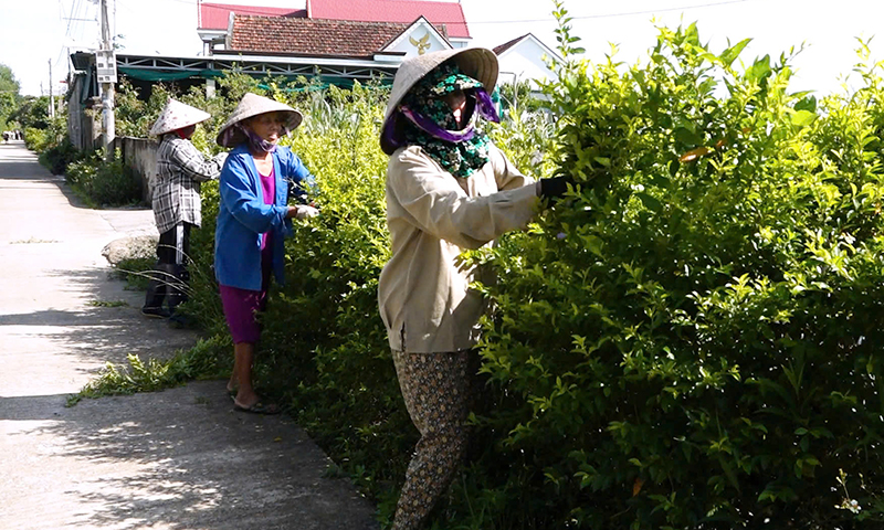 Nông dân chung tay bảo vệ môi trường