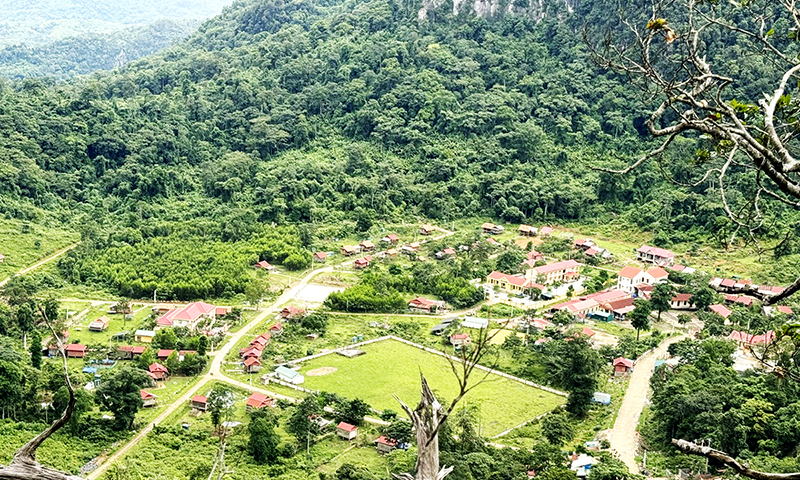 Bảo vệ cảnh quan và môi trường sống toàn cầu