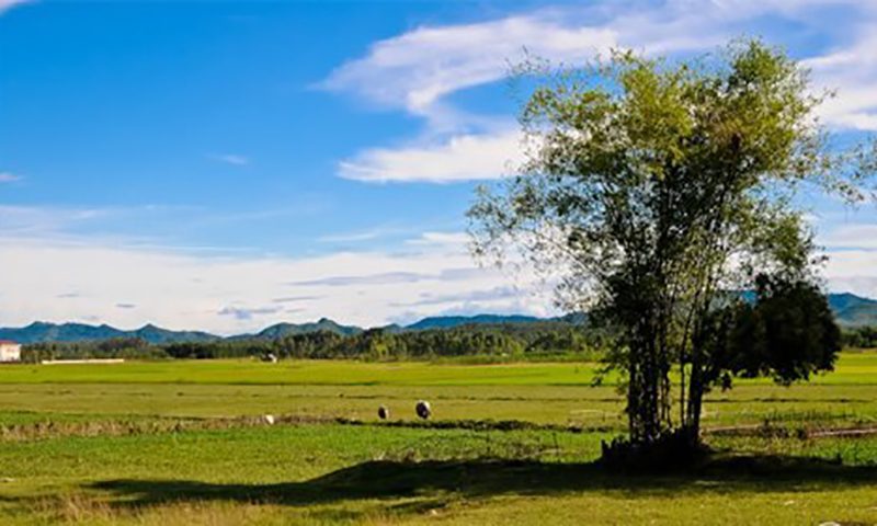 Quê nhà mến yêu